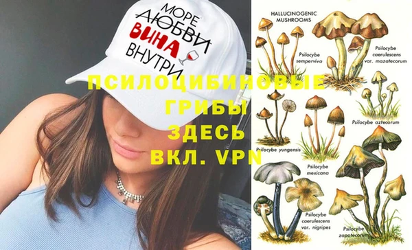 винт Алексеевка